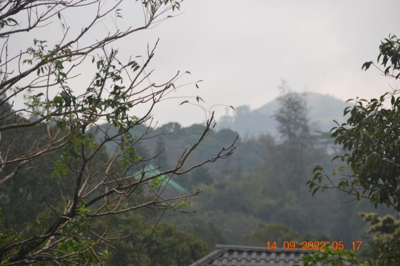 Sharon Valley Vagamon Bagian luar foto