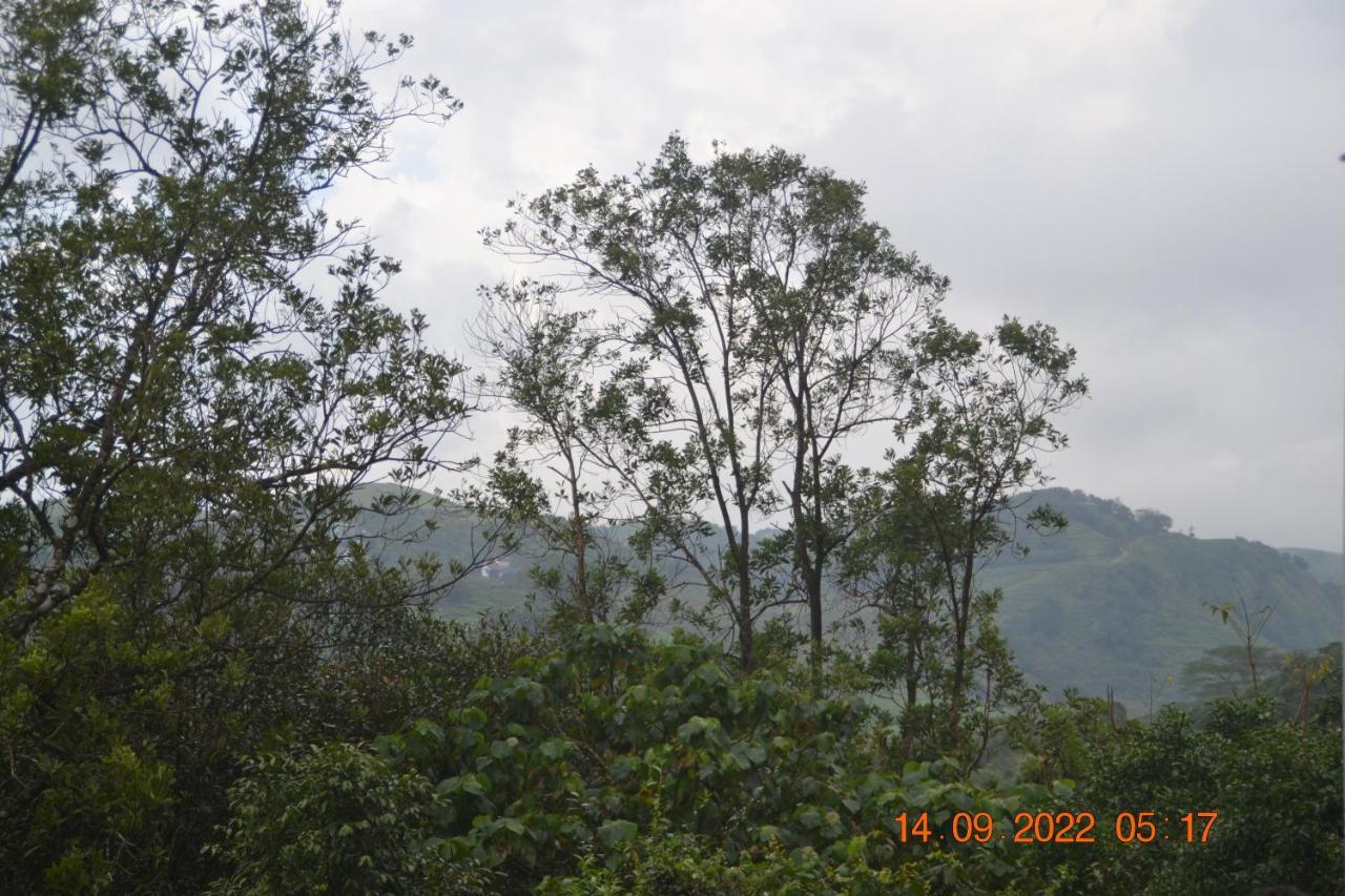Sharon Valley Vagamon Bagian luar foto